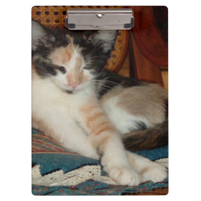 Porte-bloc Meow Cats 23 Porte - blocs (Devant)