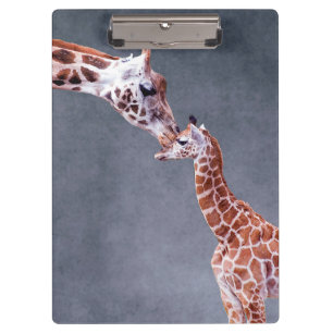Porte-bloc Mère des images   de Getty et girafe de bébé