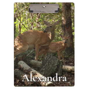 Porte-bloc Mère et bébé cerf au Parc national de Shenandoah