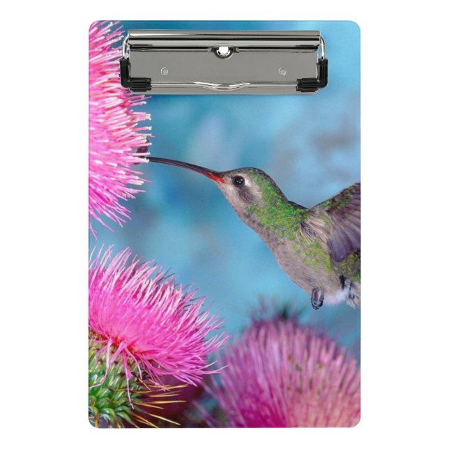Porte-bloc Mini Porte - bloc/Colibri (Devant)