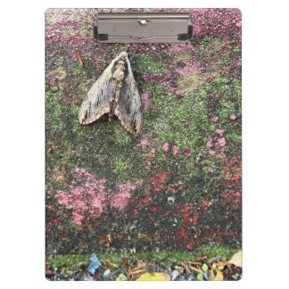 Porte-bloc Moth inspirée par la nature