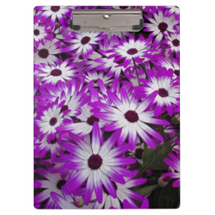 Porte-bloc motif à fleurs, Kuekenhof Gardens, Lisse,