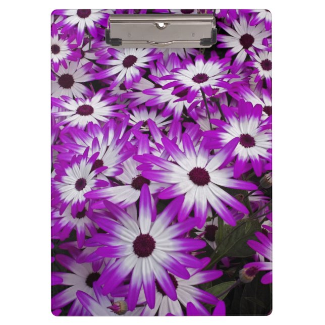 Porte-bloc motif à fleurs, Kuekenhof Gardens, Lisse, (Devant)