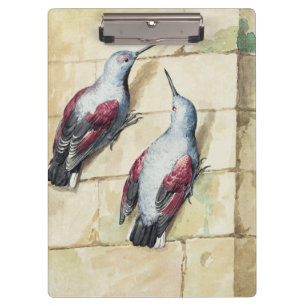 Porte-bloc Oeuvre d'art à l'aquarelle d'oiseau vintage rouge