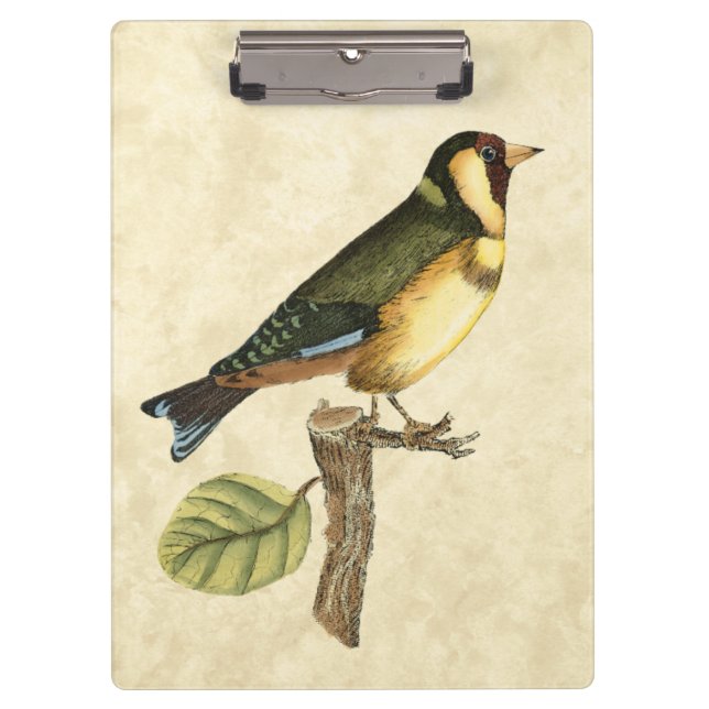 Porte-bloc Oiseau jaune et vert perché sur une petite branche (Devant)