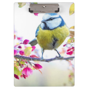 Porte-bloc Oiseau mignon