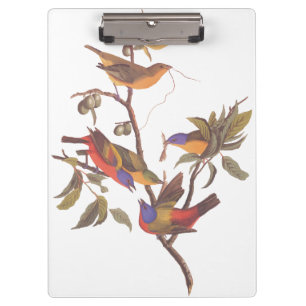 Porte-bloc Oiseaux de Bunting Peint Audubon dans une prune de