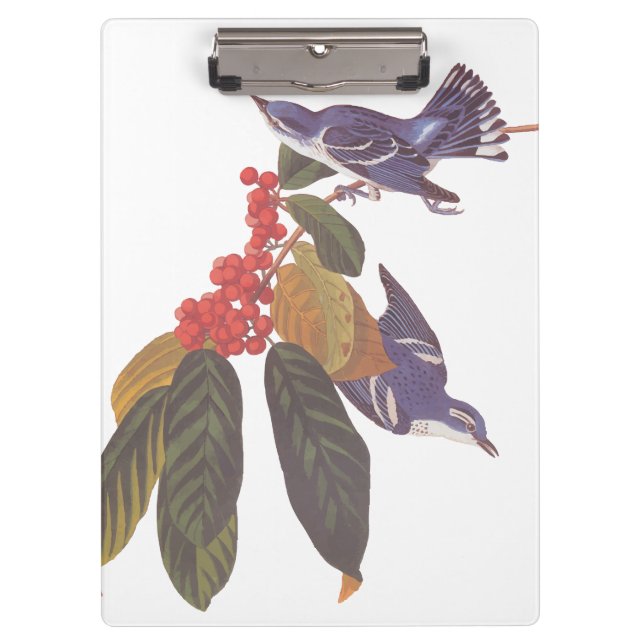 Porte-bloc Oiseaux de Paruline Céruleenne d'Audubon avec baie (Devant)