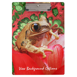 Porte-bloc Options de Porte - bloc Frog 5