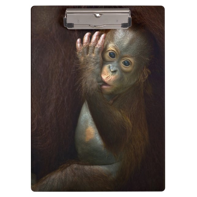 Porte-bloc Orang-outan (Devant)
