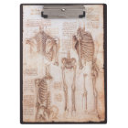 Os de squelette de Léonard de Vinci, anatomie huma