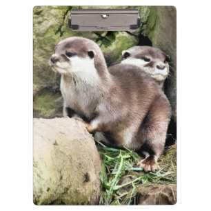PORTE-BLOC OTTERS