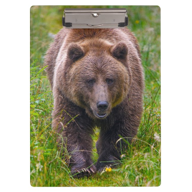 Porte-bloc Ours Brown (Devant)