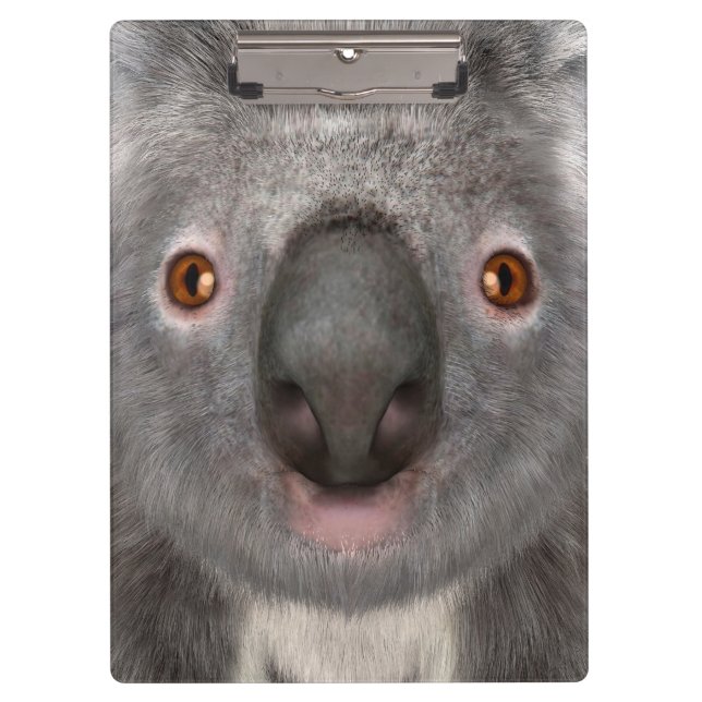 Porte-bloc Ours koala (Devant)