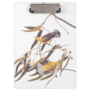 Porte-bloc Paire ornithologique jaune d'Audubon