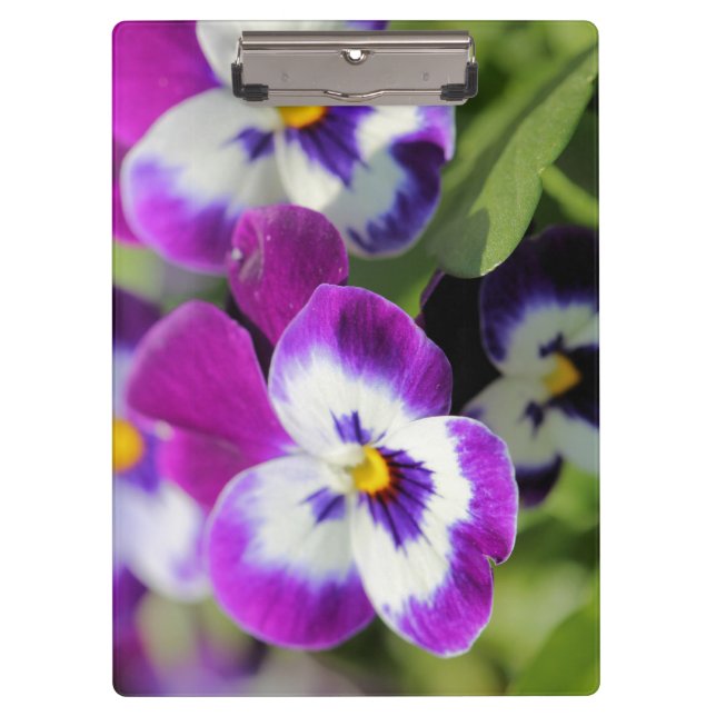 Porte-bloc Pansy (Devant)