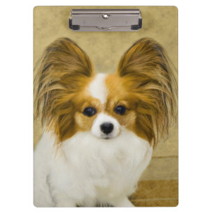Porte-bloc Papillon (Hound Tri) Peinture - Art Chien original