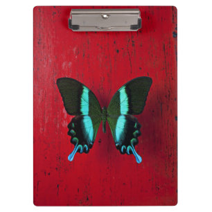 Porte-bloc Papillon noir et bleu
