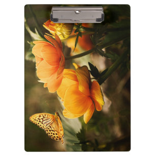 Porte-bloc Papillon orange et fleurs