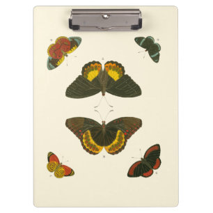 Porte-bloc Papillons lumineux par Pieter Cramer