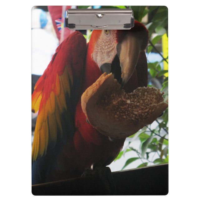 Porte-bloc Parrot Macaw Scarlet Manger Toast (Devant)