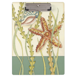 Porte-bloc Partie Shell multicolore