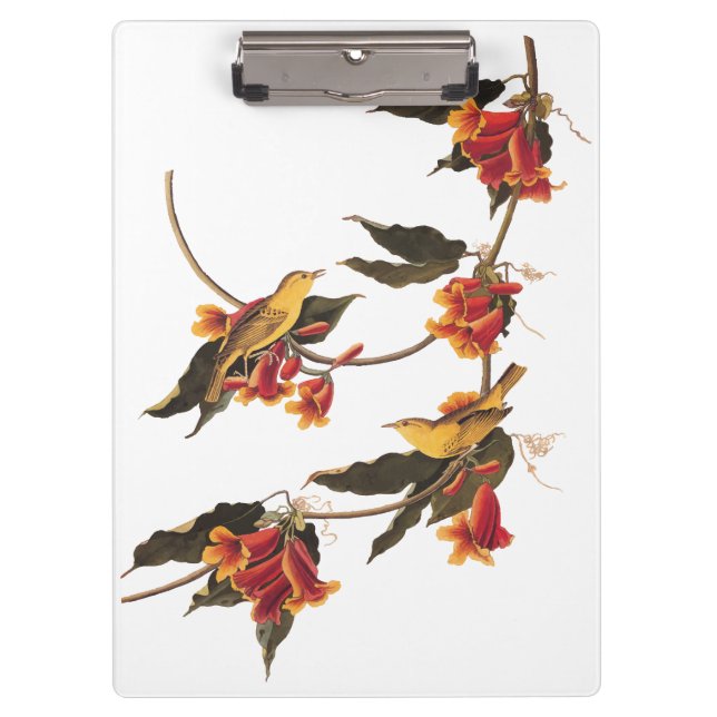 Porte-bloc Paruline jaune Songbirds sur Flower Crossvine (Devant)