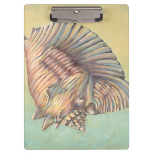 Porte-bloc Pastel Large Conch Shell