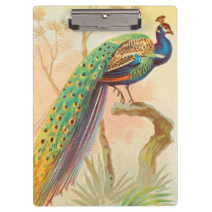 Porte-bloc Peacock vintage sur une branche
