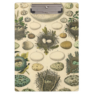 Porte-bloc Peinture artistique de nid d'oeuf d'oiseau vintage