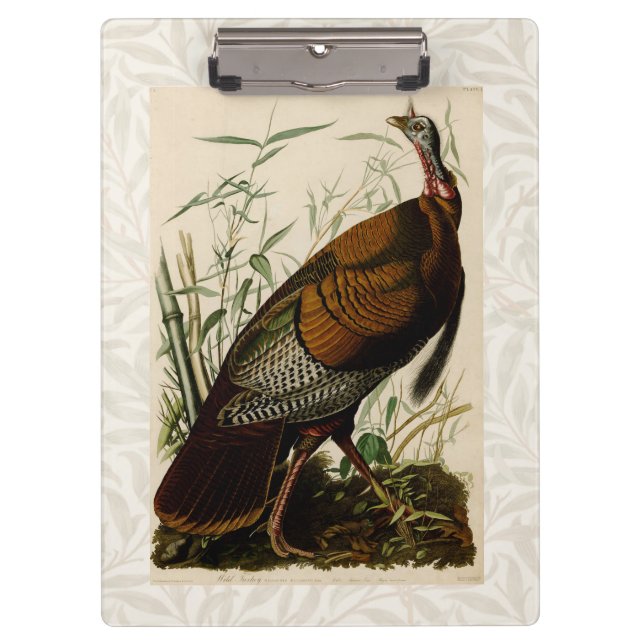 Porte-bloc Peinture d'oiseaux sauvages de Turquie Audubon (Devant)