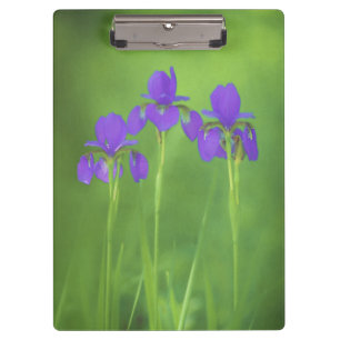 Porte-bloc Peinture Iris Violet - Art Fleur Originale