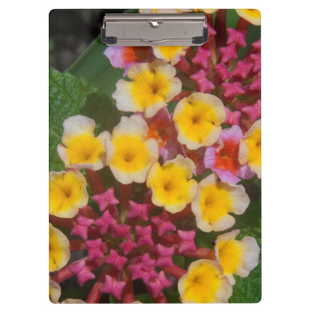 Porte-bloc Petites Fleurs Tropicales Jaunes Aux Bureaux Roses (Devant)