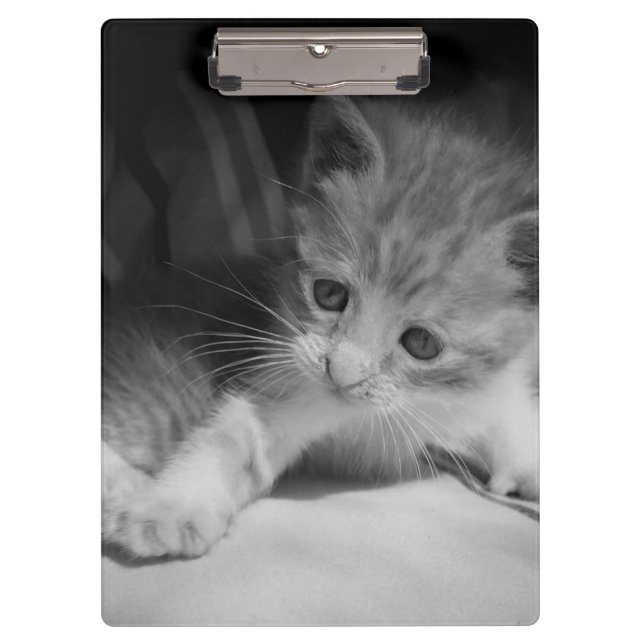 Porte-bloc Photo de Kitten noir et blanc (Devant)