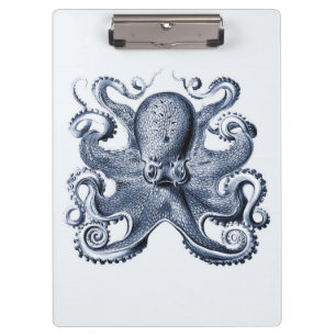 Porte-bloc Photo de la marine Blue Octopus par Ernst Haeckel