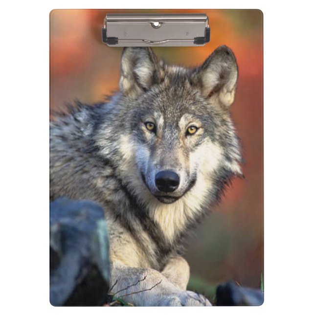Porte-bloc Photographie de loup (Devant)