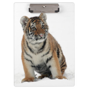 Porte-bloc Photographie d'un bébé tigre dans la neige