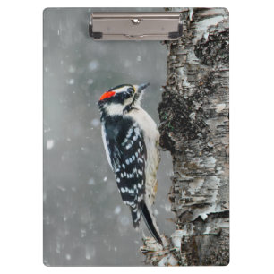 Porte-bloc Pic Downy en neige - Photo originale