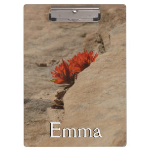 Porte-bloc Pinceau indien en roche à Sion