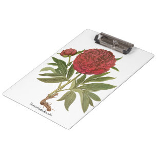 Porte-bloc Pivoines Vintage, Fleurs de Pivoine par Basilius B