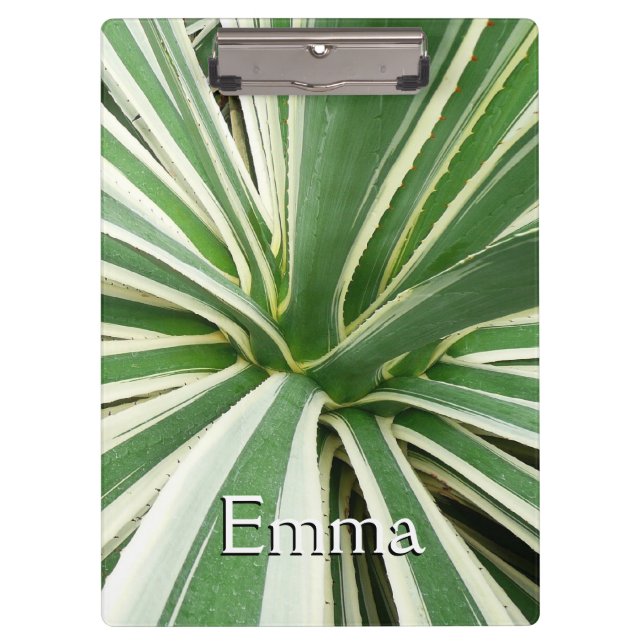 Porte-bloc Plante Agave Vert et blanc rayé (Devant)