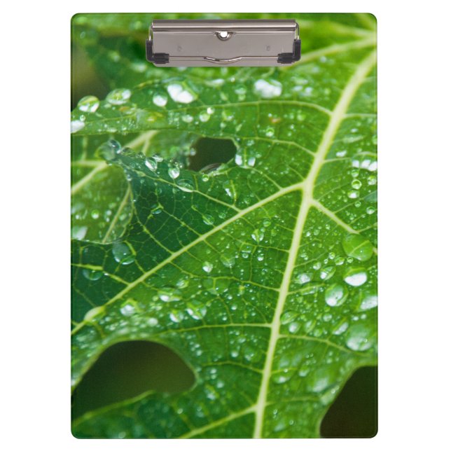 Porte-bloc Pluies sur la feuille de Papaya Vert (Devant)