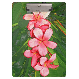 Porte-bloc Plumerias