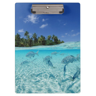 Porte-bloc Poissons en mer