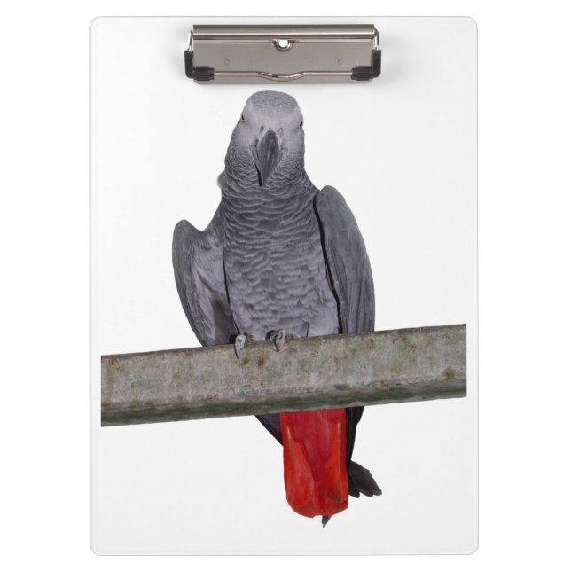 Porte-bloc Polly Porte - bloc (choisir la couleur) (Devant)