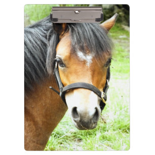 PORTE-BLOC PONY BROWN