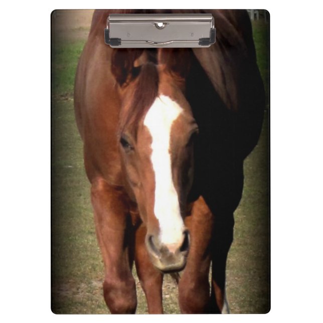 Porte-bloc Porte - bloc à cheval (Devant)