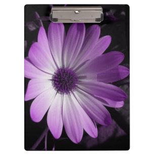 Porte-bloc Porte - bloc à fleurs pourpre