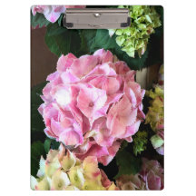 Porte - bloc assez rose de Hygrangea