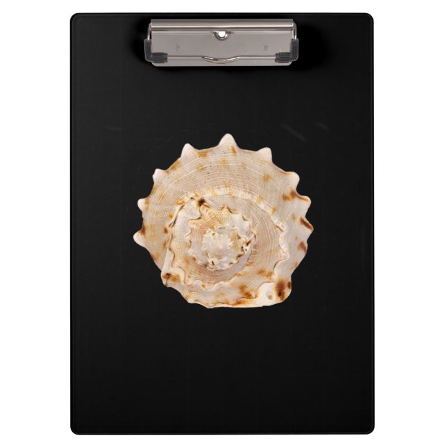 Porte-bloc Porte - bloc Conch Shell (Devant)